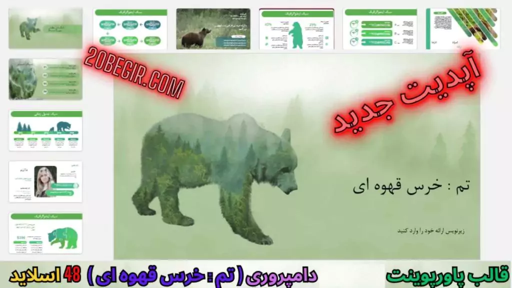 قالب پاورپوینت دامپروری تم خرس قهوه ای