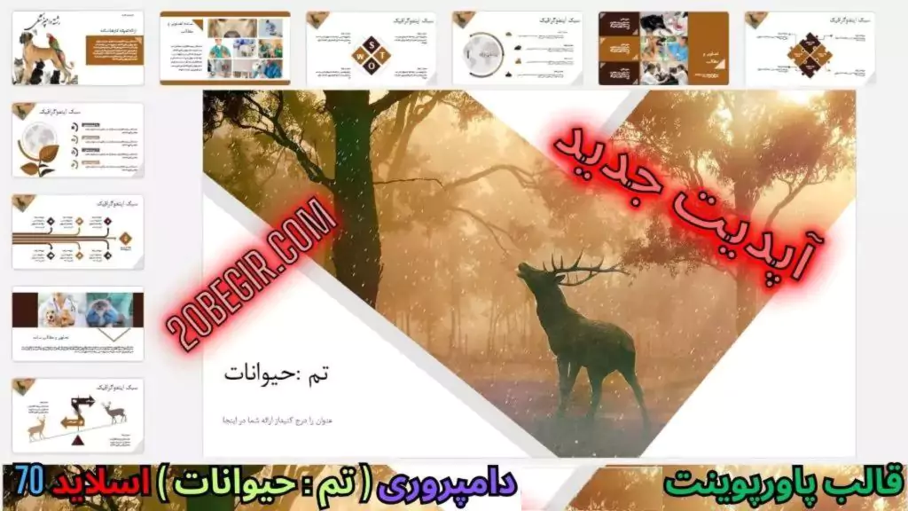 قالب پاورپوینت دامپروری تم حیوانات