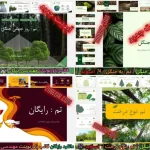 قالب پاورپوینت جنگل