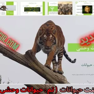 قالب پاورپوینت حیوانات وحشی