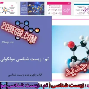 قالب پاورپوینت زیست شناسی مولکولی