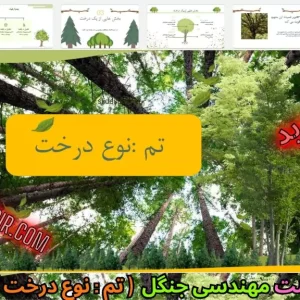 قالب پاورپوینت جنگل نوع درخت