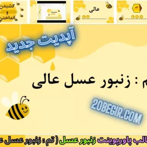 دانلود رایگان قالب پاورپوینت زنبورعسل زنبور عسل عالی