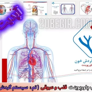 دانلود رایگان قالب پاورپوینت سیستم گردش خون