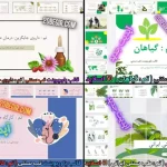 قالب پاورپوینت طب سنتی رایگان
