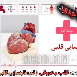 قالب پاورپوینت نارسایی قلبی