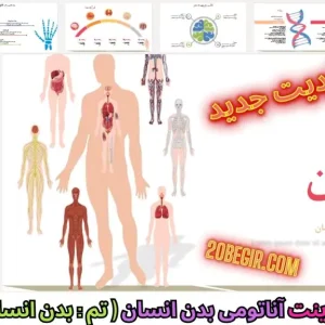 قالب پاورپوینت آناتومی بدن انسان