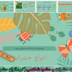 قالب پاورپوینت انواع حشرات