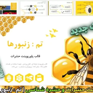 قالب پاورپوینت حشرات - زنبورها