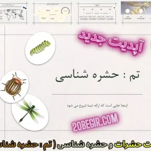 قالب پاورپوینت حشره شناسی