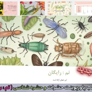 رایگان قالب پاورپوینت حشرات و حشره‌شناسی