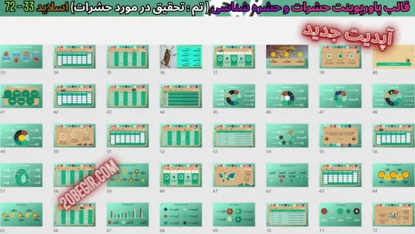 دانلود تم پاورپوینت تحقیق در مورد حشرات