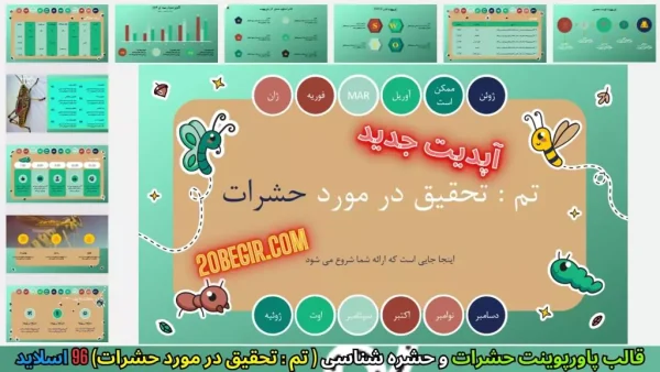 قالب پاورپوینت تحقیق در مورد حشرات