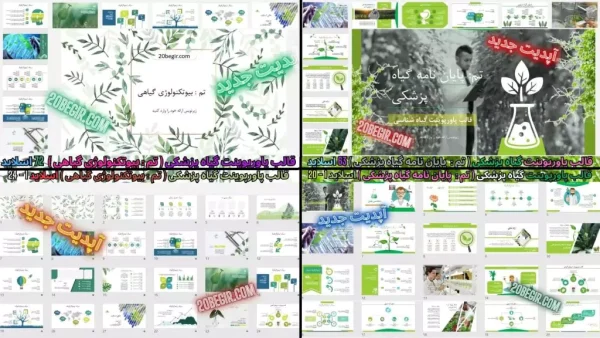 دانلود رایگان تم پاورپوینت گیاه پزشکی