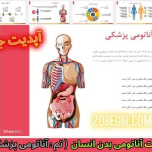قالب پاورپوینت آناتومی پزشکی بدن انسان