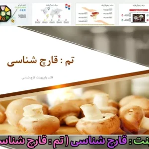 قالب پاورپوینت قارچ شناسی
