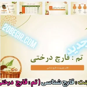 قالب پاورپوینت قارچ درختی
