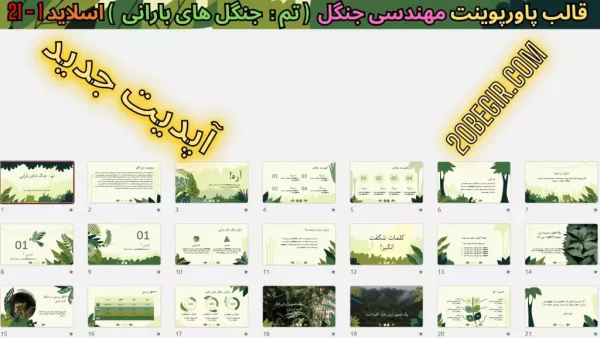 تم پاورپوینت جنگل های بارانی