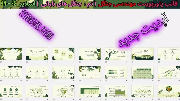دانلود تم پاورپوینت جنگل های بارانی