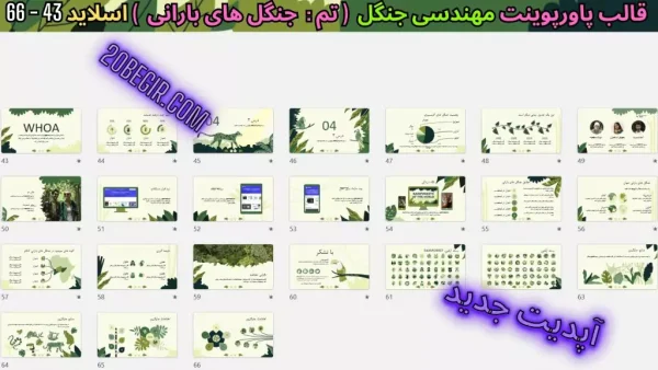 دانلود قالب پاورپوینت جنگل های بارانی