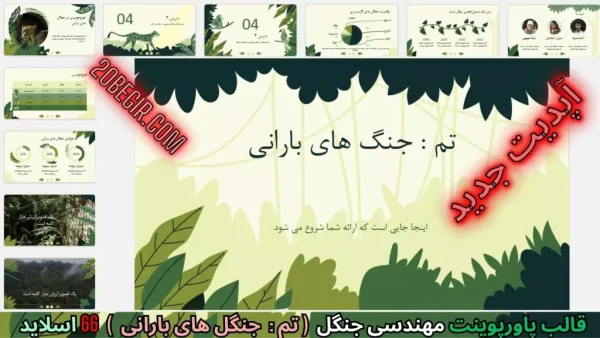 قالب پاورپوینت جنگل های بارانی