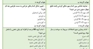 نمونه سوالات توان بخشی گروه های خاص