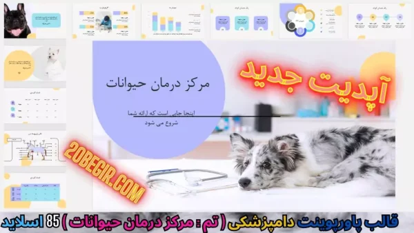 قالب پاورپوینت دامپزشکی - مرکز درمان حیوانات
