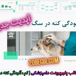 دانلود رایگان قالب پاورپوینت دامپزشکی آلودگی کنه در سگ