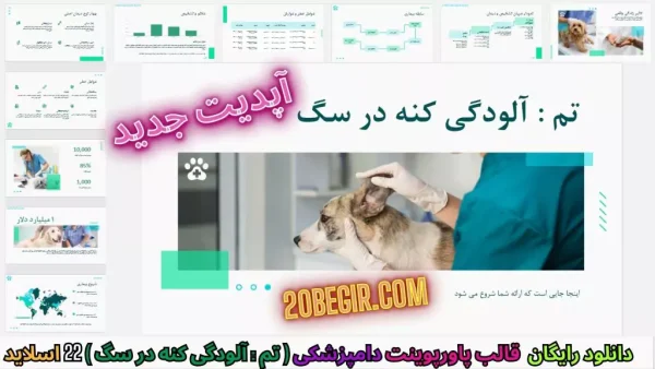 دانلود رایگان قالب پاورپوینت دامپزشکی آلودگی کنه در سگ