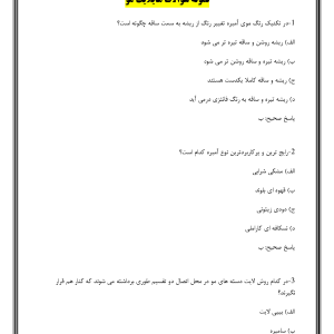 نمونه سوالات هایلایت مو فنی حرفه ای